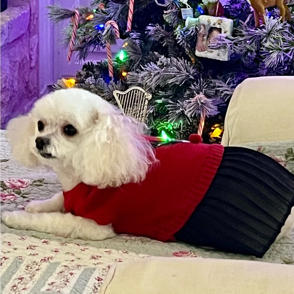 Meet your Posher, Brenda - Picture 6 of 12